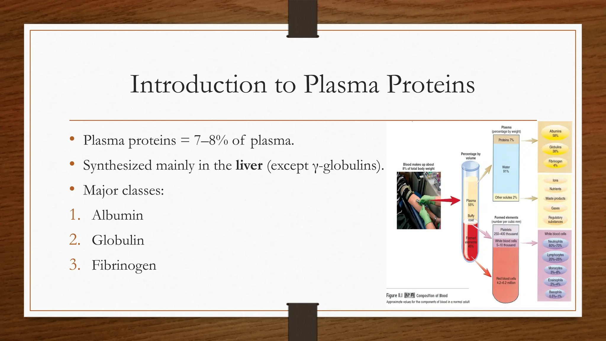 Blood Plasma Proteins Ppt