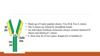 PLASMA PROTEINS AND PLASMA ENZYMES.pptx . | PPTX
