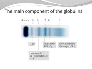 Plasma proteins class | PPTX
