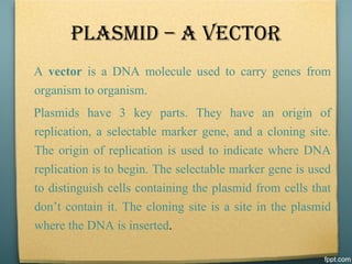 Plasmid | PDF