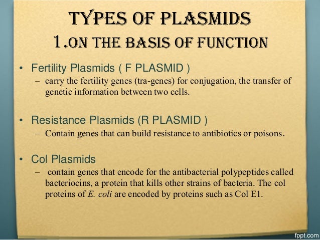 Plasmid