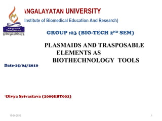 15-04-2010 1
MANGALAYATAN UNIVERSITY
(Institute of Biomedical Education And Research)
PLASMAIDS AND TRASPOSABLE
ELEMENTS AS
BIOTHECHNOLOGY TOOLS
GROUP :03 (BIO-TECH 2ND
SEM)
Date-15/04/2010
•Divya Srivastava (2009EBT002)
 