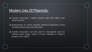Modern Use Of Plasmids:
 Cardio myocytes – heart muscle cells that allow your
heart to beat.
 Researchers at Johns Hopkins Medical Institutions have
created these cells with plasmids.
 Cardio myocytes can be used in transplants and for
testing heart drugs, which is much needed in today’s
popsci.com world.
 