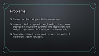 Problems:
 Proteins are often being studied by researchers.
 However, before genetic engineering, they were
produced in insufficient quantities and researchers had
to dig through tons of biomass to get a usable quantity.
 Even with proteins in such small amounts, the purity of
the proteins was still very poor.
 