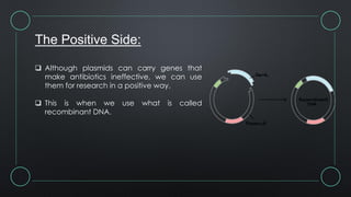 The Positive Side:
 Although plasmids can carry genes that
make antibiotics ineffective, we can use
them for research in a positive way.
 This is when we use what is called
recombinant DNA.
 