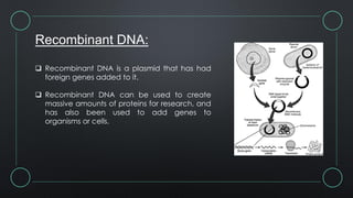 Recombinant DNA:
 Recombinant DNA is a plasmid that has had
foreign genes added to it.
 Recombinant DNA can be used to create
massive amounts of proteins for research, and
has also been used to add genes to
organisms or cells.
 