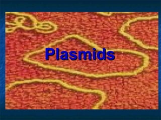 PlasmidsPlasmids
 