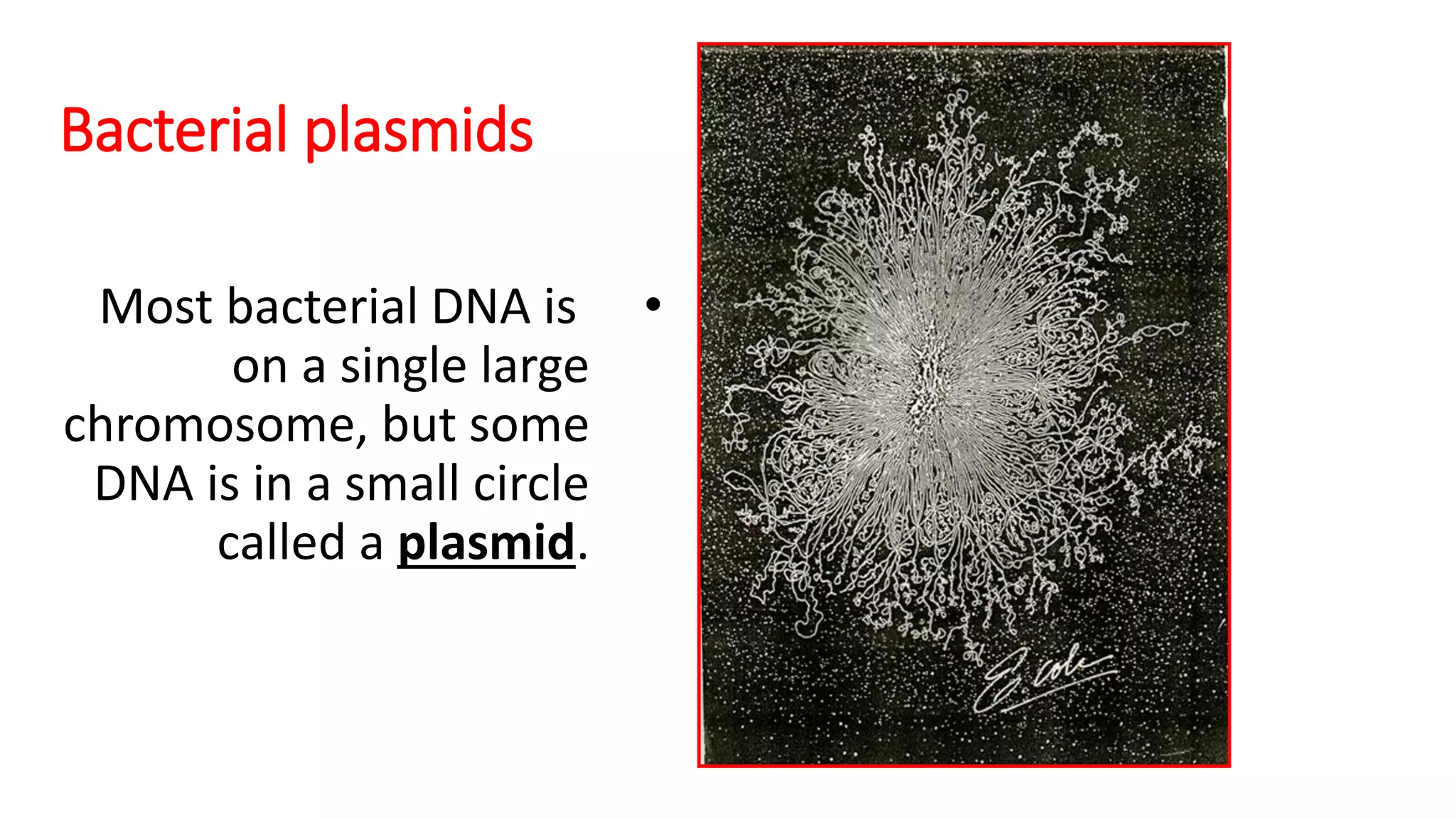 plasmid engineering.pptx