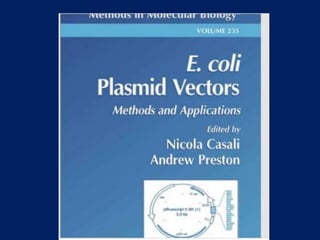 Plasmids Vectors in recombinant dna technology (pBR322)