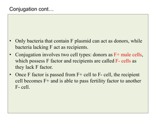 Conjugation cont…
• Only bacteria that contain F plasmid can act as donors, while
bacteria lacking F act as recipients.
• Conjugation involves two cell types: donors as F+ male cells,
which possess F factor and recipients are called F- cells as
they lack F factor.
• Once F factor is passed from F+ cell to F- cell, the recipient
cell becomes F+ and is able to pass fertility factor to another
F- cell.
 