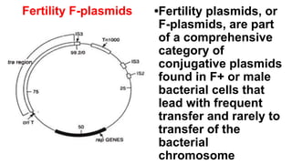Fertility F-plasmids •Fertility plasmids, or
F-plasmids, are part
of a comprehensive
category of
conjugative plasmids
found in F+ or male
bacterial cells that
lead with frequent
transfer and rarely to
transfer of the
bacterial
chromosome
 