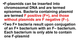 •F-plasmids can be inserted into
chromosomal DNA and are termed
episomes. Bacteria containing plasmid
are termed F positive (F+), and those
without plasmids are F negative (F–).
•Two F+ bacteria result upon conjugation
of an F+ bacterium with an F– bacterium.
Each bacterium is only able to contain
one F-plasmid
 
