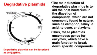 Degradative plasmids •The main function of
degradative plasmids is to
aid the host bacterium in
the digestion of
compounds, which are not
commonly found in nature,
such as camphor, salicylic
acid, toluene, and xylene.
•Thus, these plasmids
encompass genes for
enzymes, which have a
main function to break
down specific compounds
Degradative plasmids can be described
as conjugative.
 
