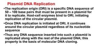 Plasmid DNA Replication
•The replication origin (ORI) is a specific DNA sequence of
50 – 100 base pairs that must be present in a plasmid for
it to replicate. Host-cell enzymes bind to ORI, initiating
replication of the circular plasmid.
•Once DNA replication is initiated at ORI, it continues
around the circular plasmid regardless of its nucleotide
sequence
•Thus any DNA sequence inserted into such a plasmid is
replicated along with the rest of the plasmid DNA; this
property is the basis of molecular DNA cloning.
 