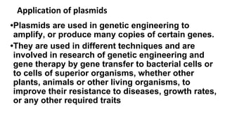 Application of plasmids
•Plasmids are used in genetic engineering to
amplify, or produce many copies of certain genes.
•They are used in different techniques and are
involved in research of genetic engineering and
gene therapy by gene transfer to bacterial cells or
to cells of superior organisms, whether other
plants, animals or other living organisms, to
improve their resistance to diseases, growth rates,
or any other required traits
 