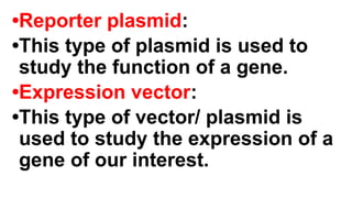 •Reporter plasmid:
•This type of plasmid is used to
study the function of a gene.
•Expression vector:
•This type of vector/ plasmid is
used to study the expression of a
gene of our interest.
 