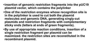 •insertion of genomic restriction fragments into the pUC19
plasmid vector, which contains the polylinker
•One of the restriction enzymes whose recognition site is
in the polylinker is used to cut both the plasmid
molecules and genomic DNA, generating singly-cut
plasmids and restriction fragments with complementary
sticky ends (letters at ends of green fragments).
•By use of appropriate reaction conditions, insertion of a
single restriction fragment per plasmid can be
maximized. the restriction sites are reconstituted in the
recombinant plasmid.
 