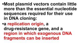 •Most plasmid vectors contain little
more than the essential nucleotide
sequences required for their use
in DNA cloning:
•a replication origin, a
drug-resistance gene, and a
region in which exogenous DNA
fragments can be inserted
 
