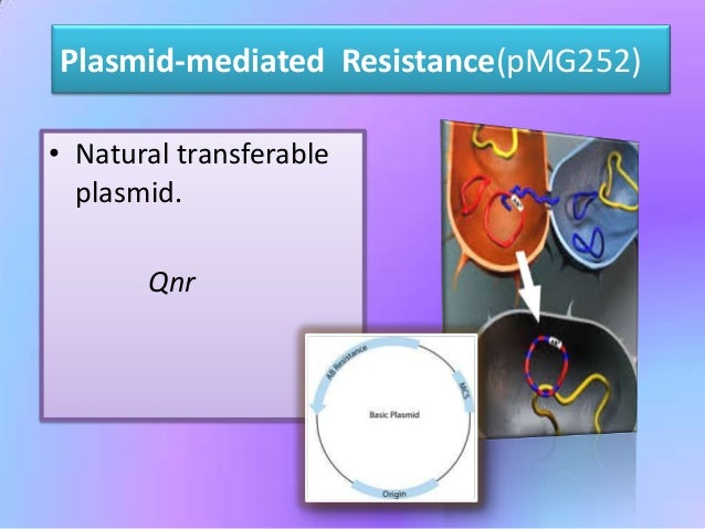 Chloroquine use and fluoroquinolone resistance dissertation