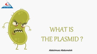 WHAT IS
THE PLASMID ?
Abdulmuez Abdumalek
 