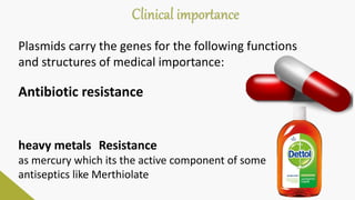 Clinical importance
heavy metals Resistance
as mercury which its the active component of some
antiseptics like Merthiolate
Plasmids carry the genes for the following functions
and structures of medical importance:
Antibiotic resistance
 