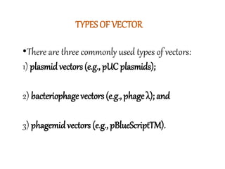 TYPES OF VECTOR
•There are three commonly used types of vectors:
1) plasmidvectors (e.g., pUC plasmids);
2) bacteriophage vectors (e.g., phage λ); and
3) phagemidvectors (e.g., pBlueScriptTM).
 