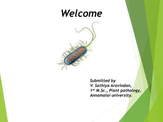 Submitted by
V. Sathiya Aravindan,
1st M.Sc., Plant pathology,
Annamalai university.
Welcome
 