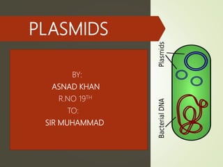 PLASMIDS
BY:
ASNAD KHAN
R.NO 19TH
TO:
SIR MUHAMMAD
 