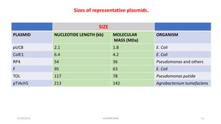 SIZE
PLASMID NUCLEOTIDE LENGTH (kb) MOLECULAR
MASS (MDa)
ORGANISM
pUC8 2.1 1.8 E. Coli
ColE1 6.4 4.2 E. Coli
RP4 54 36 Pseudomonas and others
F 95 63 E. Coli
TOL 117 78 Pseudomonas putida
pTiAch5 213 142 Agrobacterium tumefaciens
Sizes of representative plasmids.
12/10/2019 DS/RKMV/MB 11
 