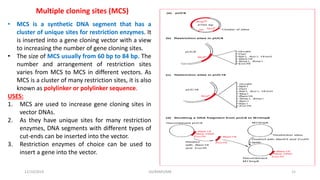 Multiple cloning sites (MCS)
• MCS is a synthetic DNA segment that has a
cluster of unique sites for restriction enzymes. It
is inserted into a gene cloning vector with a view
to increasing the number of gene cloning sites.
• The size of MCS usually from 60 bp to 84 bp. The
number and arrangement of restriction sites
varies from MCS to MCS in different vectors. As
MCS is a cluster of many restriction sites, it is also
known as polylinker or polylinker sequence.
USES:
1. MCS are used to increase gene cloning sites in
vector DNAs.
2. As they have unique sites for many restriction
enzymes, DNA segments with different types of
cut-ends can be inserted into the vector.
3. Restriction enzymes of choice can be used to
insert a gene into the vector.
12/10/2019 DS/RKMV/MB 15
 