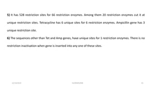 12/10/2019 DS/RKMV/MB 23
5) It has 528 restriction sites for 66 restriction enzymes. Among them 20 restriction enzymes cut it at
unique restriction sites. Tetracycline has 6 unique sites for 6 restriction enzymes. Ampicillin gene has 3
unique restriction site.
6) The sequences other than Tet and Amp genes, have unique sites for 1 restriction enzymes. There is no
restriction inactivation when gene is inserted into any one of these sites.
 