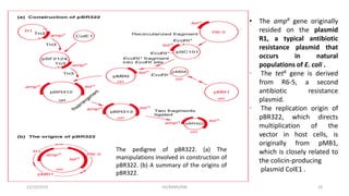 The pedigree of pBR322. (a) The
manipulations involved in construction of
pBR322. (b) A summary of the origins of
pBR322.
• The ampR gene originally
resided on the plasmid
R1, a typical antibiotic
resistance plasmid that
occurs in natural
populations of E. coli .
• The tetR gene is derived
from R6-5, a second
antibiotic resistance
plasmid.
• The replication origin of
pBR322, which directs
multiplication of the
vector in host cells, is
originally from pMB1,
which is closely related to
the colicin-producing
plasmid ColE1 .
12/10/2019 DS/RKMV/MB 24
 