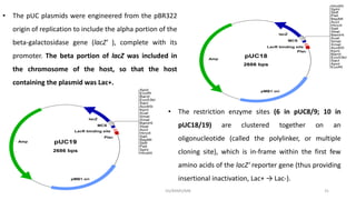 • The pUC plasmids were engineered from the pBR322
origin of replication to include the alpha portion of the
beta-galactosidase gene (lacZ' ), complete with its
promoter. The beta portion of lacZ was included in
the chromosome of the host, so that the host
containing the plasmid was Lac+.
12/10/2019 DS/RKMV/MB 31
• The restriction enzyme sites (6 in pUC8/9; 10 in
pUC18/19) are clustered together on an
oligonucleotide (called the polylinker, or multiple
cloning site), which is in-frame within the first few
amino acids of the lacZ‘ reporter gene (thus providing
insertional inactivation, Lac+ → Lac-).
 