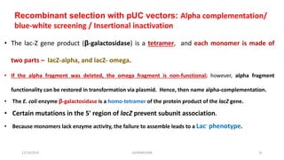 12/10/2019 DS/RKMV/MB 32
Recombinant selection with pUC vectors: Alpha complementation/
blue-white screening / Insertional inactivation
• The lac-Z gene product (β-galactosidase) is a tetramer, and each monomer is made of
two parts – lacZ-alpha, and lacZ- omega.
• If the alpha fragment was deleted, the omega fragment is non-functional; however, alpha fragment
functionality can be restored in transformation via plasmid. Hence, then name alpha-complementation.
• The E. coli enzyme β-galactosidase is a homo-tetramer of the protein product of the lacZ gene.
• Certain mutations in the 5' region of lacZ prevent subunit association.
• Because monomers lack enzyme activity, the failure to assemble leads to a Lac- phenotype.
 