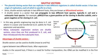 SHUTTLE VECTORS
• The plasmid cloning vector that can replicate in two different organisms is called shuttle vector. It has two
origin of replication, each of which is specific to a host.
• Since, shuttle vectors replicate in two different hosts, they are known as bifunctional vectors.
• A shuttle vector is a vector that can propagate in two different host species, typically E. coli and a
eukaryotic host species. For example, pMK3/4 has a gram-positive ori for cloning in Bacillus subtilis, and a
gram-negative ori for cloning in E. coli.
• In this way, genetic engineering may be done in E. coli
where it is easier and transferred to B. subtilis for final
expression and excretion.
• Many eukaryotic expression vectors are shuttle
vectors, since they are first produced in E. coli, and
then introduced into the eukaryotic host.
12/10/2019 DS/RKMV/MB 35
Advantages of shuttle vectors :
Shuttle vectors can be used to shuttle (move to and fro)
a gene between two different hosts. After expression
studies in the second host, if there is a need for further manipulation, the rDNA can be modified it in the first
host.
 