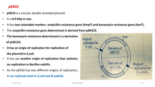 • pEB10 is a circular, double-stranded plasmid.
• It is 8.9 Kbp in size.
• It has two selectable markers- ampicillin resistance gene (AmpR) and kanamycin resistance gene (KanR).
• The ampicillin resistance gene determinant is derived from pBR322.
• The kanamycin resistance determinant is a derivative
of pUB110.
• It has an origin of replication for replication of
the plasmid in E,coli.
pEB10
12/10/2019 DS/RKMV/MB 38
• It has yet another origin of replication that switches
on replication in Bacillus subtilis.
• As the pEB10 has two different origins of replication,
it can replicate both in E,coli and B.subtilis.
 
