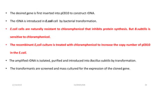 • The desired gene is first inserted into pEB10 to construct rDNA.
• The rDNA is introduced in E.coli cell by bacterial transformation.
• E.coli cells are naturally resistant to chloramphenicol that inhibits protein synthesis. But B.subtilis is
sensitive to chloramphenicol.
• The recombinant E,coli culture is treated with chloramphenicol to increase the copy number of pEB10
in the E.coli.
• The amplified rDNA is isolated, purified and introduced into Bacillus subtilis by transformation.
• The transformants are screened and mass cultured for the expression of the cloned gene.
12/10/2019 DS/RKMV/MB 39
 