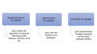VIRULENCE
PLASMID
they turn the
bacteria into
pathogen.
SUICIDE PLASMID
gets transferred to
another bacterial
cell but don’t
replicate further.
DEGRADATIVE
PLASMID
they enable the
digestion of unusual
substances like
toluene, salicylic acid
etc.
 