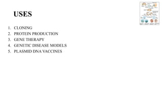 USES
1. CLONING
2. PROTEIN PRODUCTION
3. GENE THERAPY
4. GENETIC DISEASE MODELS
5. PLASMID DNA VACCINES
 