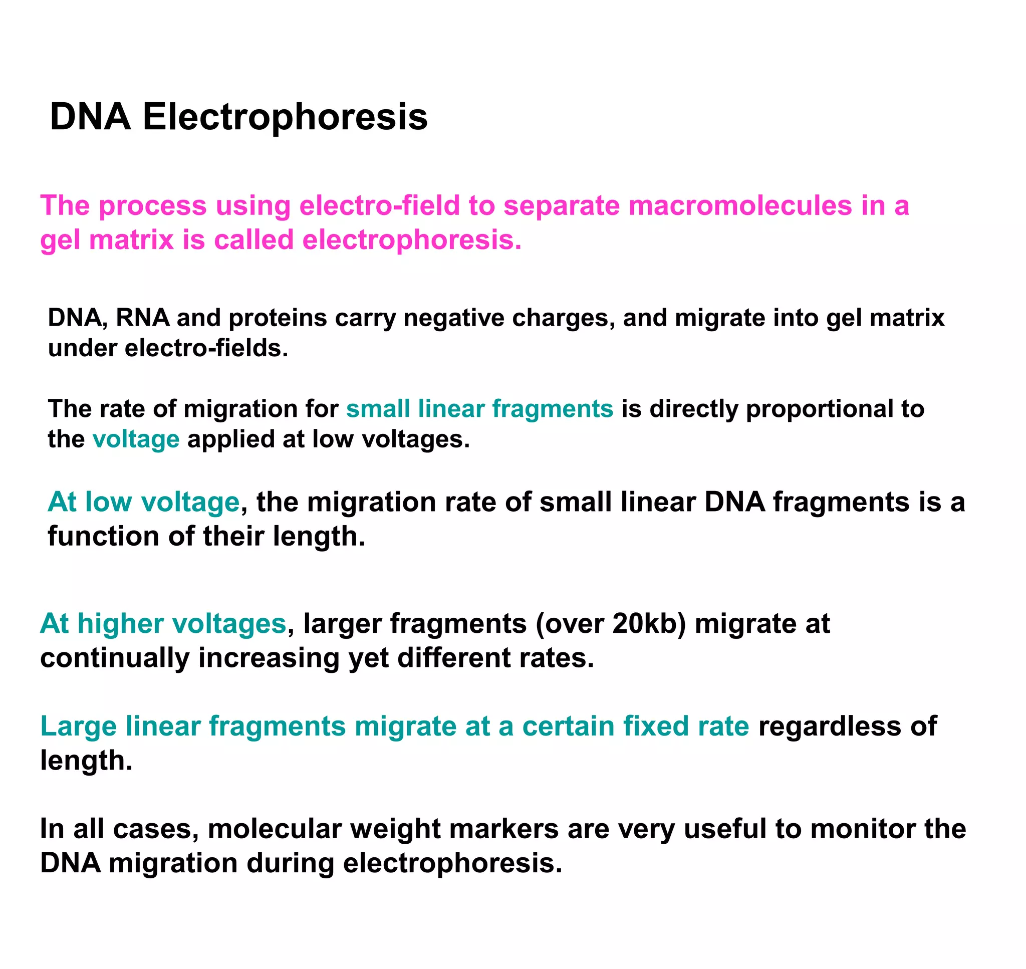 DNA Electrophoresis 
The process using electro-field to separate macromolecules in a 
gel matrix is called electrophoresis. 
DNA, RNA and proteins carry negative charges, and migrate into gel matrix 
under electro-fields. 
The rate of migration for small linear fragments is directly proportional to 
the voltage applied at low voltages. 
At low voltage, the migration rate of small linear DNA fragments is a 
function of their length. 
At higher voltages, larger fragments (over 20kb) migrate at 
continually increasing yet different rates. 
Large linear fragments migrate at a certain fixed rate regardless of 
length. 
In all cases, molecular weight markers are very useful to monitor the 
DNA migration during electrophoresis. 
 