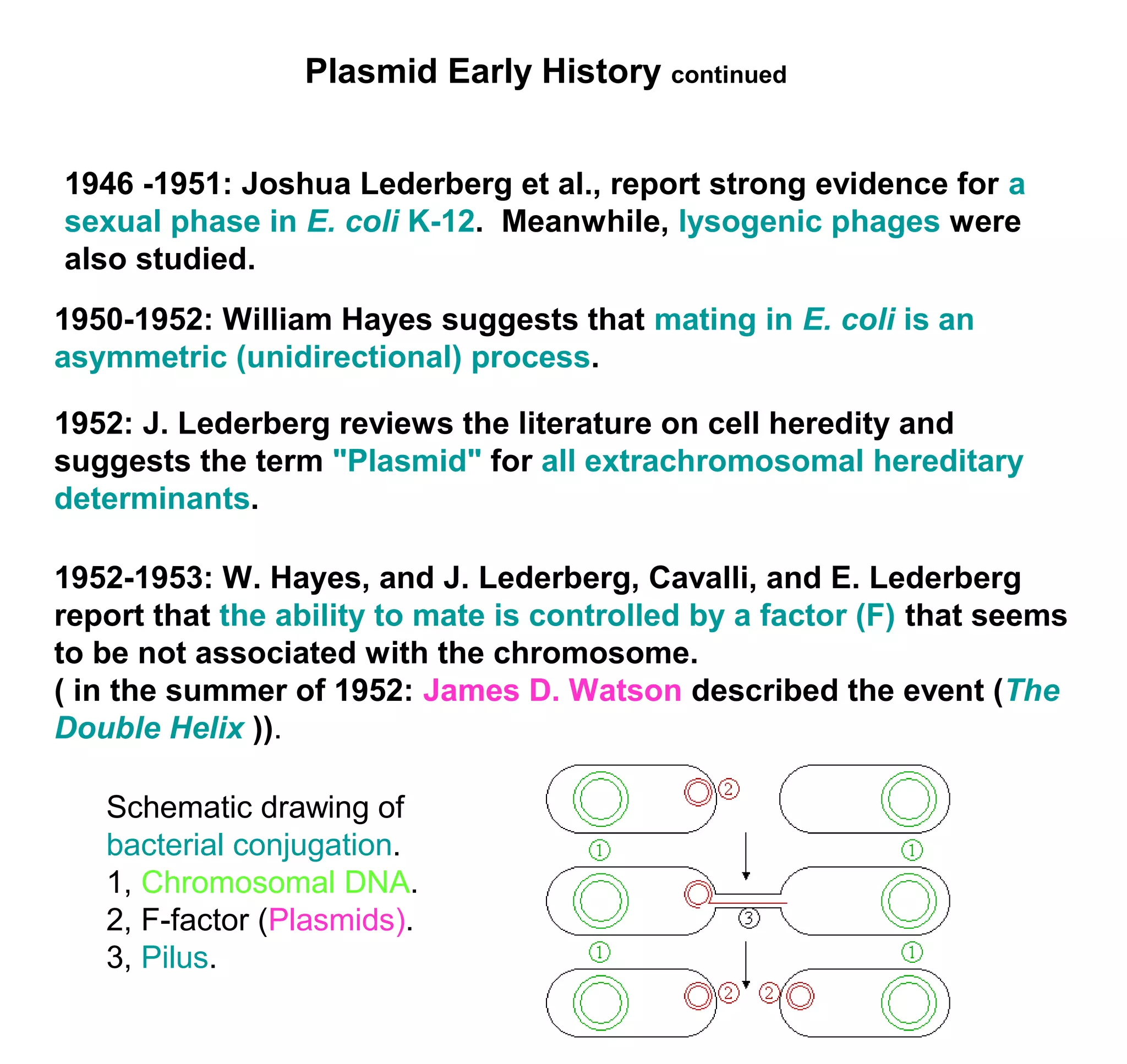 Plasmid Early History continued 
1946 -1951: Joshua Lederberg et al., report strong evidence for a 
sexual phase in E. coli K-12. Meanwhile, lysogenic phages were 
also studied. 
1950-1952: William Hayes suggests that mating in E. coli is an 
asymmetric (unidirectional) process. 
1952: J. Lederberg reviews the literature on cell heredity and 
suggests the term "Plasmid" for all extrachromosomal hereditary 
determinants. 
1952-1953: W. Hayes, and J. Lederberg, Cavalli, and E. Lederberg 
report that the ability to mate is controlled by a factor (F) that seems 
to be not associated with the chromosome. 
( in the summer of 1952: James D. Watson described the event (The 
Double Helix )). 
Schematic drawing of 
bacterial conjugation. 
1, Chromosomal DNA. 
2, F-factor (Plasmids). 
3, Pilus. 
 