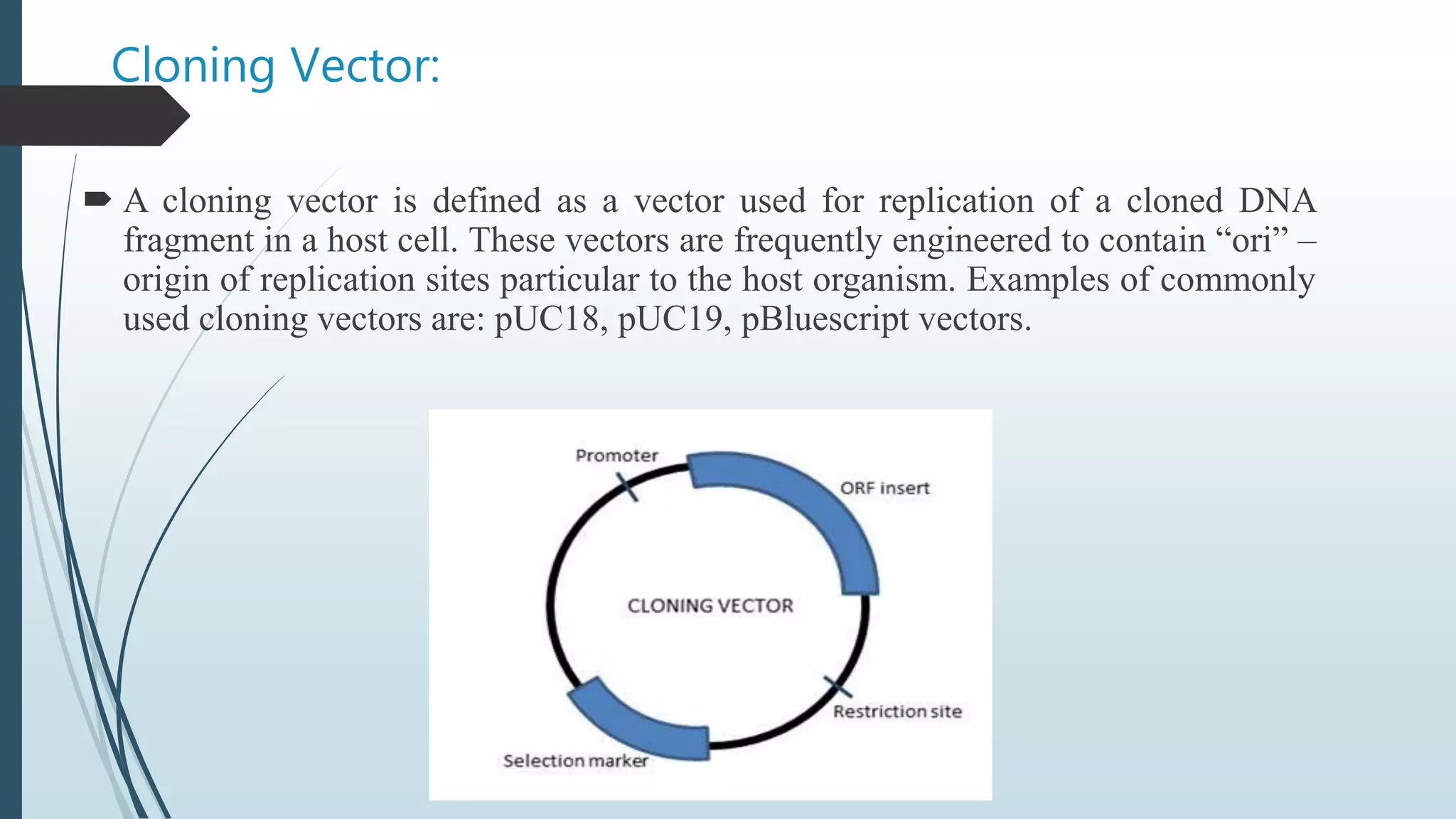 Cloning Vector:
 A cloning vector is defined as a vector used for replication of a cloned DNA
fragment in a host cell. These vectors are frequently engineered to contain “ori” –
origin of replication sites particular to the host organism. Examples of commonly
used cloning vectors are: pUC18, pUC19, pBluescript vectors.
 
