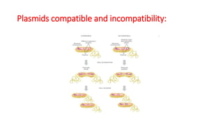 Compatible Plasmids Plasmid ppt.pptx