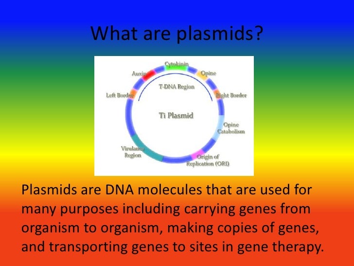 Plasmids