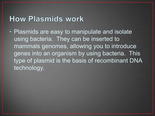 • Plasmids are easy to manipulate and isolate
  using bacteria. They can be inserted to
  mammals genomes, allowing you to introduce
  genes into an organism by using bacteria. This
  type of plasmid is the basis of recombinant DNA
  technology.
 