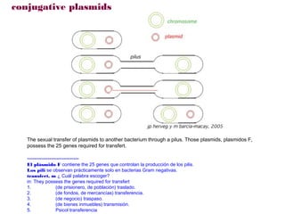 conjugative plasmids




   The sexual transfer of plasmids to another bacterium through a pilus. Those plasmids, plasmidos F,
   possess the 25 genes required for transfert.

   ----------------------------
   El plásmido F contiene the 25 genes que controlan la producción de los pilis.
   Los pili se observan prácticamente solo en bacterias Gram negativas.
   transfert, m ¿ Cuál palabra escoger?
   in: They possess the genes required for transfert
   1.           (de prisionero, de población) traslado.
   2.           (de fondos, de mercancías) transferencia.
   3.           (de negocio) traspaso.
   4.           (de bienes inmuebles) transmisión.
   5.           Psicol transferencia
 