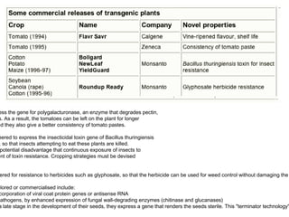 ess the gene for polygalacturonase, an enzyme that degrades pectin,
s. As a result, the tomatoes can be left on the plant for longer
nd they also give a better consistency of tomato pastes.

eered to express the insecticidal toxin gene of Bacillus thuringiensis
 , so that insects attempting to eat these plants are killed.
 potential disadvantage that continuous exposure of insects to
ent of toxin resistance. Cropping strategies must be devised


 ered for resistance to herbicides such as glyphosate, so that the herbicide can be used for weed control without damaging the

plored or commercialised include:
 corporation of viral coat protein genes or antisense RNA
pathogens, by enhanced expression of fungal wall-degrading enzymes (chitinase and glucanases)
 a late stage in the development of their seeds, they express a gene that renders the seeds sterile. This "terminator technology"
 