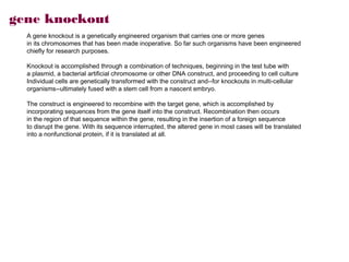 gene knockout
  A gene knockout is a genetically engineered organism that carries one or more genes
  in its chromosomes that has been made inoperative. So far such organisms have been engineered
  chiefly for research purposes.

  Knockout is accomplished through a combination of techniques, beginning in the test tube with
  a plasmid, a bacterial artificial chromosome or other DNA construct, and proceeding to cell culture
  Individual cells are genetically transformed with the construct and--for knockouts in multi-cellular
  organisms--ultimately fused with a stem cell from a nascent embryo.

  The construct is engineered to recombine with the target gene, which is accomplished by
  incorporating sequences from the gene itself into the construct. Recombination then occurs
  in the region of that sequence within the gene, resulting in the insertion of a foreign sequence
  to disrupt the gene. With its sequence interrupted, the altered gene in most cases will be translated
  into a nonfunctional protein, if it is translated at all.
 