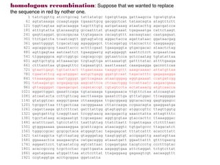 homologous recombination: Suppose that we wanted to replace
the sequence in red by nother one.
       1   tatctggttg   atcctgccag   tattatatgc   tgatgttaga   gattaagcca   tgcatgtgta
      61   agtataaaga   ccaagtagga   tgaaactgcg   gacggctcat   tataacagta   atagtttctt
     121   tggttagtaa   agtacaagga   tagctttgtg   aatgataaag   ataatacttg   agacgatcca
     181   atttgtatta   gtacaaagtg   gccaatttat   gtaagtaaat   tgagaaatga   cattctaagt
     241   gagttaggat   gccacgacaa   ttgtagaaca   cacagtgttt   aacaagtaac   caatgagaat
     301   ttctgatcta   tcaatcagtt   ggtagtatcg   aggactacca   agattataac   ggataacgag
     361   gaattggggt   tcgacatcgg   agagggagct   ttacagatgg   ctaccacttc   taaggaaggc
     421   agcaggcgcg   taaattaccc   actttcgaat   tgaagaggta   gtgacgacac   ataactctag
     481   agttgagtaa   aatcaattct   tgaaggaatg   agtaggaggt   aaattctcct   acgaaatcaa
     541   ttggagggca   agtctggtgc   cagcagccgc   ggtaattcca   gctccaatag   tgtatattaa
     601   agttgctgtg   attaaaacgc   tcgtagttga   attaaaatgt   gattttatac   attttgaaga
     661   ctttanntaa   gtgaagtttc   tagaaatgtt   aaattaaaat   caaagaagga   gacnnttcaa
     721   gtaattgagt   tgttattact   ttgaataaaa   taaggtgttt   aaagcaaaac   attatgttaa
     781   tgaatattcg   agcatgggac   aatgctgagg   ggatgtcaat   tagacatttc   gagagaagga
     841   ttaaaaggaa   caattggggt   gattcagaaa   ataacgggag   aggtgaaaat   ccatgatcgg
     901   tataagatgc   acgagagcga   aagcatttca   ctcaactggg   tccattaatc   aagaacgaaa
     961   gttaggggat   cgaagacgat   cagataccgt   cgtagtccta   actataaacg   atgtcaacca
    1021   aggattggat   gaaattcaga   tgtacaaaga   tgaagaaaca   ttgtttctaa   atccaagtat
    1081   atcaatacta   ccttgttcag   aacttaaaga   gaaatcttga   gtttatggac   ttcaggggga
    1141   gtatggtcac   aaggctgaaa   cttaaaggaa   ttgacggaag   ggcacaccag   gagtggagcc
    1201   tgcggcttaa   tttgactcaa   cacgggaaaa   cttaccaaga   ccgaacagta   gaaggaatga
    1261   cagattaaga   gttctttcat   gatttattgg   gtagtggtgc   atggccgttc   ttagttggtg
    1321   gagtgatttg   tcaggttaat   tccggtaacg   aacgagactg   aaacctatta   attagttttc
    1381   tgcctataag   acagaaatgt   tcgcaagaac   aggtgcgtaa   gtaccacttc   ttaaagggac
    1441   acatttcaat   tgtcctattt   taattgttag   ttatctaatt   tcgattagaa   ctcttttaac
    1501   gtgggaaaaa   gaaaaaggaa   gcattcagca   ataacaggtc   tgtgatgccc   ttagacatct
    1561   tgggccgcac   gcgcgctaca   atggagttac   tagagagcat   tttatcattt   acaccttatt
    1621   tattaggcta   tgtctaatag   gtagggatag   taagtggtgt   accgagattg   aaatagttaa
    1681   ggaaaactca   aaagaacgta   catgacaggg   ataaatgatt   ggaattattt   gttttgaacg
    1741   aggaattcct   tgtaatatcg   agtcattaac   tcgagatgaa   tacgtccctg   ccctttgtac
    1801   acaccgcccg   tcgctcctac   cgattgaata   aagaggtgaa   attctaggat   tctgtcttat
    1861   agatagaaaa   atggatttaa   atctccttat   ttagaggaag   gagaagtcgt   aacaaggttt
    1921   ccgtaggtga   acctgcggaa   ggatcatta
 