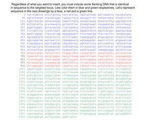 Regardless of what you want to insert, you must include some flanking DNA that is identical
in sequence to the targeted locus. Lets color them in blue and green respectively. Let’s represent
sequence in the next drawings by a blue, a red and a green line.
         1   tatctggttg   atcctgccag    tattatatgc    tgatgttaga    gattaagcca    tgcatgtgta
        61   agtataaaga   ccaagtagga    tgaaactgcg    gacggctcat    tataacagta    atagtttctt
       121   tggttagtaa   agtacaagga    tagctttgtg    aatgataaag    ataatacttg    agacgatcca
       181   atttgtatta   gtacaaagtg    gccaatttat    gtaagtaaat    tgagaaatga    cattctaagt
       241   gagttaggat   gccacgacaa    ttgtagaaca    cacagtgttt    aacaagtaac    caatgagaat
       301   ttctgatcta   tcaatcagtt    ggtagtatcg    aggactacca    agattataac    ggataacgag
       361   gaattggggt   tcgacatcgg    agagggagct    ttacagatgg    ctaccacttc    taaggaaggc
       421   agcaggcgcg   taaattaccc    actttcgaat    tgaagaggta    gtgacgacac    ataactctag
       481   agttgagtaa   aatcaattct    tgaaggaatg    agtaggaggt    aaattctcct    acgaaatcaa
       541   ttggagggca   agtctggtgc    cagcagccgc    ggtaattcca    gctccaatag    tgtatattaa
       601   agttgctgtg   attaaaacgc    tcgtagttga    attaaaatgt    gattttatac    attttgaaga
       661   ctttanntaa   gtgaagtttc    tagaaatgtt    aaattaaaat    caaagaagga    gacnnttcaa
       721   gtaattgagt   tgttattact    ttgaataaaa    taaggtgttt    aaagcaaaac    attatgttaa
       781   tgaatattcg   agcatgggac    aatgctgagg    ggatgtcaat    tagacatttc    gagagaagga
       841   ttaaaaggaa   caattggggt    gattcagaaa    ataacgggag    aggtgaaaat    ccatgatcgg
       901   tataagatgc   acgagagcga    aagcatttca    ctcaactggg    tccattaatc    aagaacgaaa
       961   gttaggggat   cgaagacgat    cagataccgt    cgtagtccta    actataaacg    atgtcaacca
      1021   aggattggat   gaaattcaga    tgtacaaaga    tgaagaaaca    ttgtttctaa    atccaagtat
      1081   atcaatacta   ccttgttcag    aacttaaaga    gaaatcttga    gtttatggac    ttcaggggga
      1141   gtatggtcac   aaggctgaaa    cttaaaggaa    ttgacggaag    ggcacaccag    gagtggagcc
      1201   tgcggcttaa   tttgactcaa    cacgggaaaa    cttaccaaga    ccgaacagta    gaaggaatga
      1261   cagattaaga   gttctttcat    gatttattgg    gtagtggtgc    atggccgttc    ttagttggtg
      1321   gagtgatttg   tcaggttaat    tccggtaacg    aacgagactg    aaacctatta    attagttttc
      1381   tgcctataag   acagaaatgt    tcgcaagaac    aggtgcgtaa    gtaccacttc    ttaaagggac
      1441   acatttcaat   tgtcctattt    taattgttag    ttatctaatt    tcgattagaa    ctcttttaac
      1501   gtgggaaaaa   gaaaaaggaa    gcattcagca    ataacaggtc    tgtgatgccc    ttagacatct
      1561   tgggccgcac   gcgcgctaca    atggagttac    tagagagcat    tttatcattt    acaccttatt
      1621   tattaggcta   tgtctaatag    gtagggatag    taagtggtgt    accgagattg    aaatagttaa
      1681   ggaaaactca   aaagaacgta    catgacaggg    ataaatgatt    ggaattattt    gttttgaacg
      1741   aggaattcct   tgtaatatcg    agtcattaac    tcgagatgaa    tacgtccctg    ccctttgtac
      1801   acaccgcccg   tcgctcctac    cgattgaata    aagaggtgaa    attctaggat    tctgtcttat
      1861   agatagaaaa   atggatttaa    atctccttat    ttagaggaag    gagaagtcgt    aacaaggttt
      1921   ccgtaggtga   acctgcggaa    ggatcatta
 